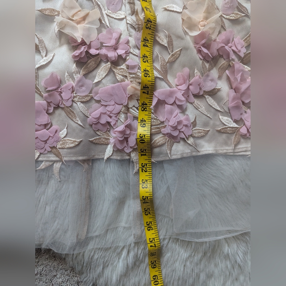 NWOT Show Me Your Mumu Stephanie Dress in Champagne 3D Floral - Picture 11 of 14
